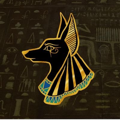 thinhofrancis's profile picture. 