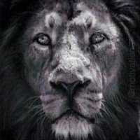 COACH MAYBERRY (strength doc) (@jmaybs09) 's Twitter Profile