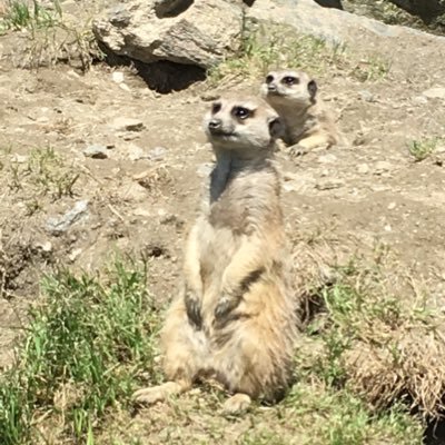 ポムーミンさんのプロフィール画像
