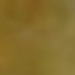 BilTalley's profile picture. My parents said I could be anything when i grew up so I became an ASSHOLE! I like horror anything and I'm blunt so FUCK OFF you want to know the truth just ask