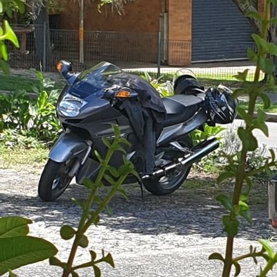 TrevorFennelly's profile picture. 