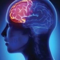 Devin Nunes's Prefrontal Cortex (@cortexdevin) 's Twitter Profile