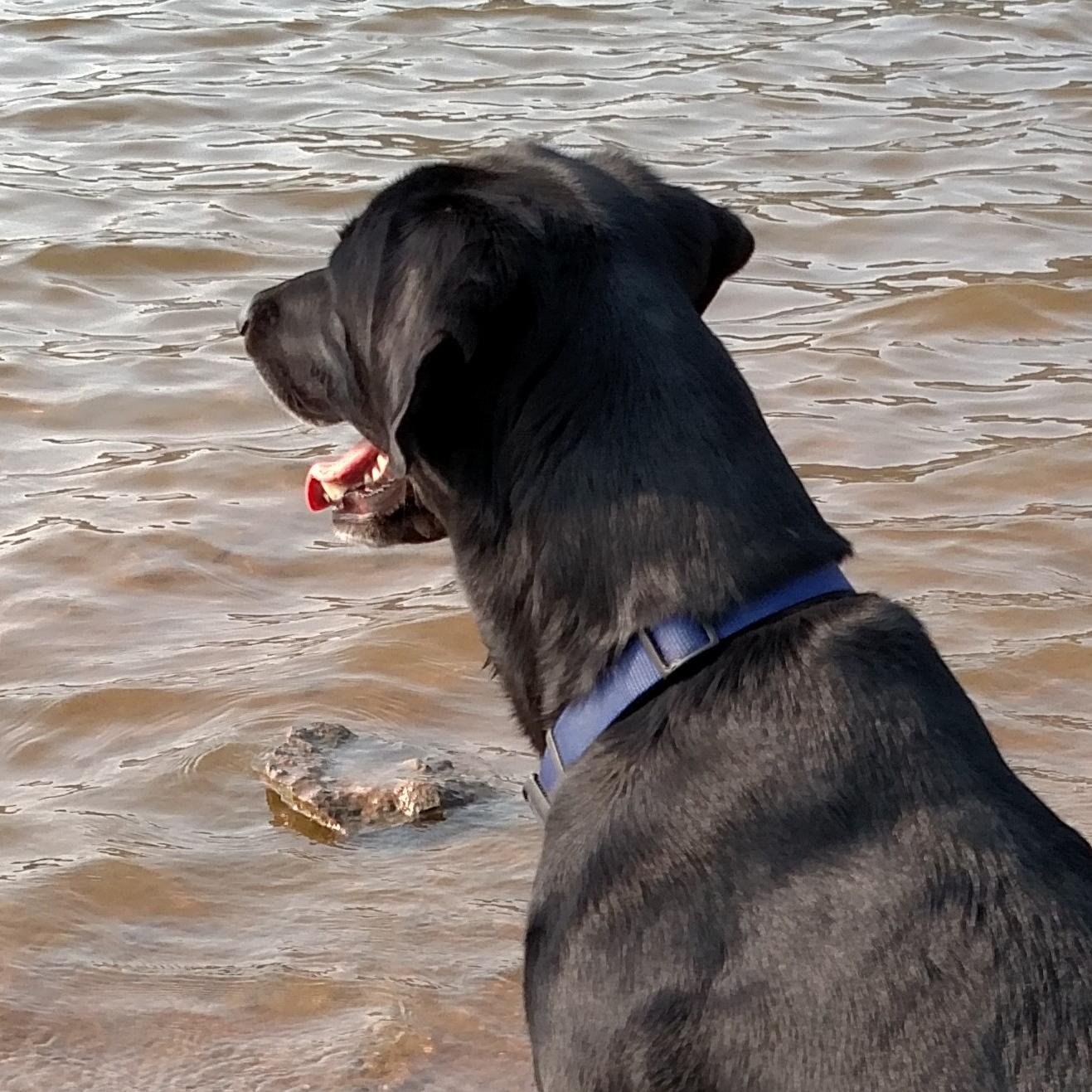 FIVE5TARMAN's profile picture. Antacid connoisseur 🇺🇸