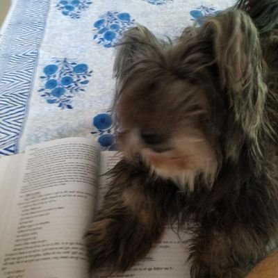 priti_kapur's profile picture. Fun loving, progressive and happy