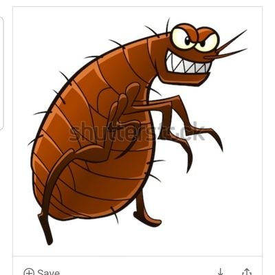 DFleas's profile picture. Hi world. Bet you cant take a joke.