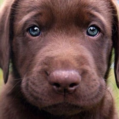 Ilove3Mypeople's profile picture. cameronazi fan and fashion enthusiast.  thinking about fish.