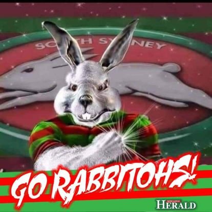 RabbitohsSouth's profile picture. nrl