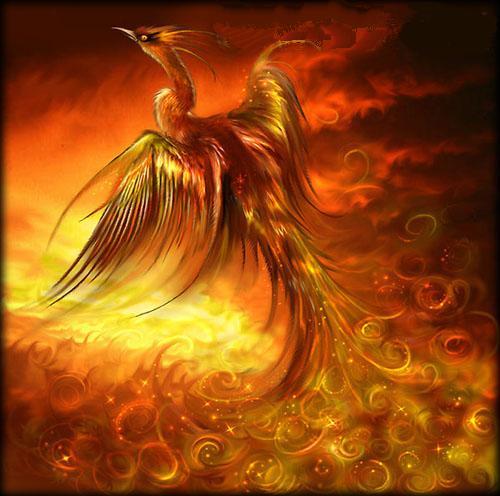 consideracoes's profile picture. 