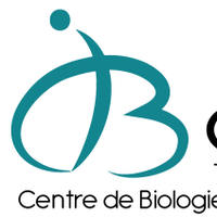 CBI Toulouse(@CbiToulouse) 's Twitter Profileg