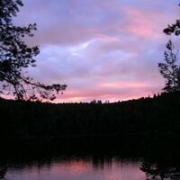 Q Bloggt (@qbloggt) 's Twitter Profile