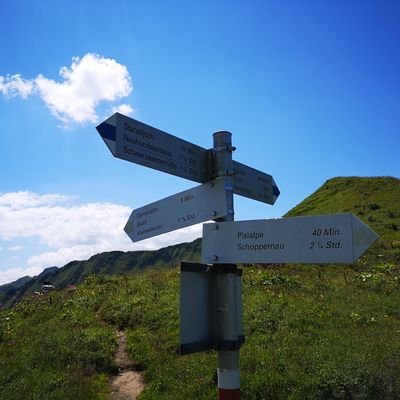 gslau112's profile picture. 