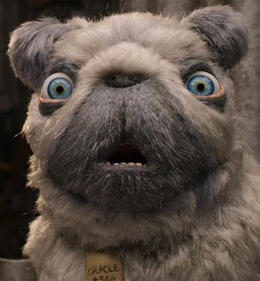 Oracle69049815's profile picture. Je dis toujours la vérité