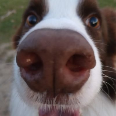 VanesaC3's profile picture. Friki y ochentera, muy fan de Elvira y traumatizada por el final de Juego de Tronos