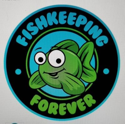 Amazing fishkeeping website