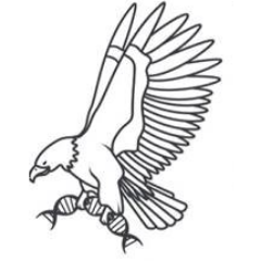 EAGLE_Consortium Profile