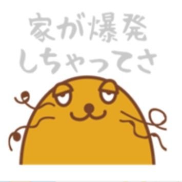 らっこのアルバム