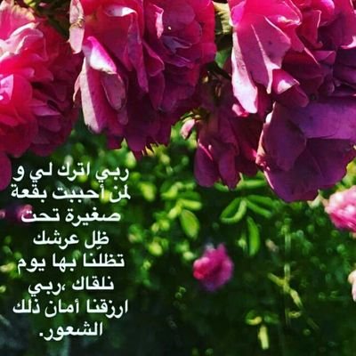 ان وجدتم في تغريداتي مايؤجرني أنشروه وإن وجدتم ما يؤثمني أتركوهـ .. اللهم لا تجعل الدنيآ أكبر همي..!
