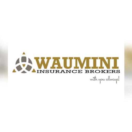 Waumini Insurance Profile