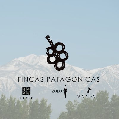 We have three wineries expressing the best from each region: Tapiz San Pablo in the Uco Valley, Zolo Agrelo in Luján de Cuyo & Wapisa in Patagonia Atlántica.