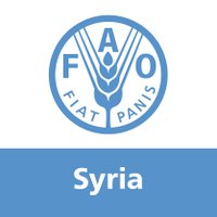 FAO in Syria (@faosyria) 's Twitter Profile