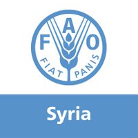 FAO in Syria(@FAOSyria) 's Twitter Profile Photo