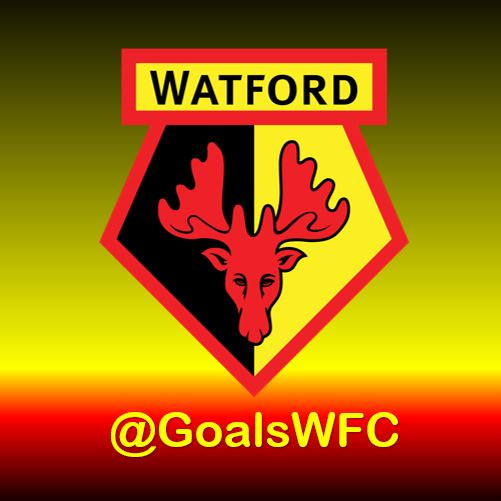 Relive some of #WatfordFC's greatest goals.