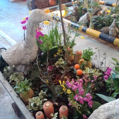 thressauh's profile picture. do not work