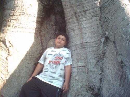 luis linares