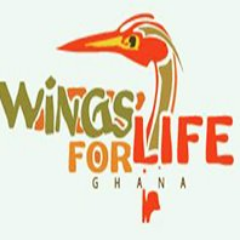 Providing structured learning for life; Autism Intervention Centre, After School Support Programs. Call us now for more info :0240050758/0500710344/ 0322022566