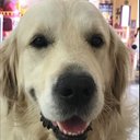 Olivia Shannon - @OliviaS44377004 - Twitter