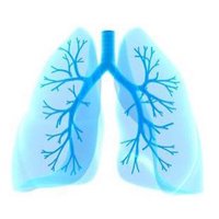 SFH Respiratory (@respiratorysfh) 's Twitter Profile