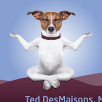 Playful Mindfulness (@playfulmindful) 's Twitter Profile