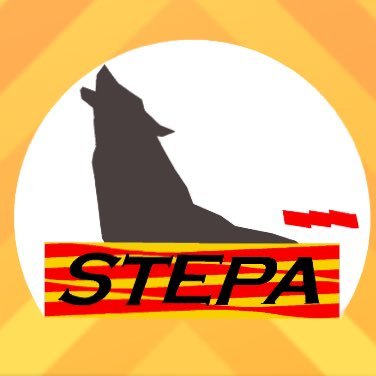 STEPA Profile