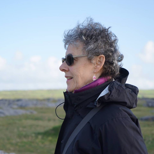 ritadavern's profile picture. In the shadow of a stone fort, I found the lost story of my Irish ancestors.