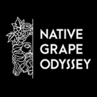 Native Grape Odyssey_RU(@NGOWineCourseRU) 's Twitter Profile Photo