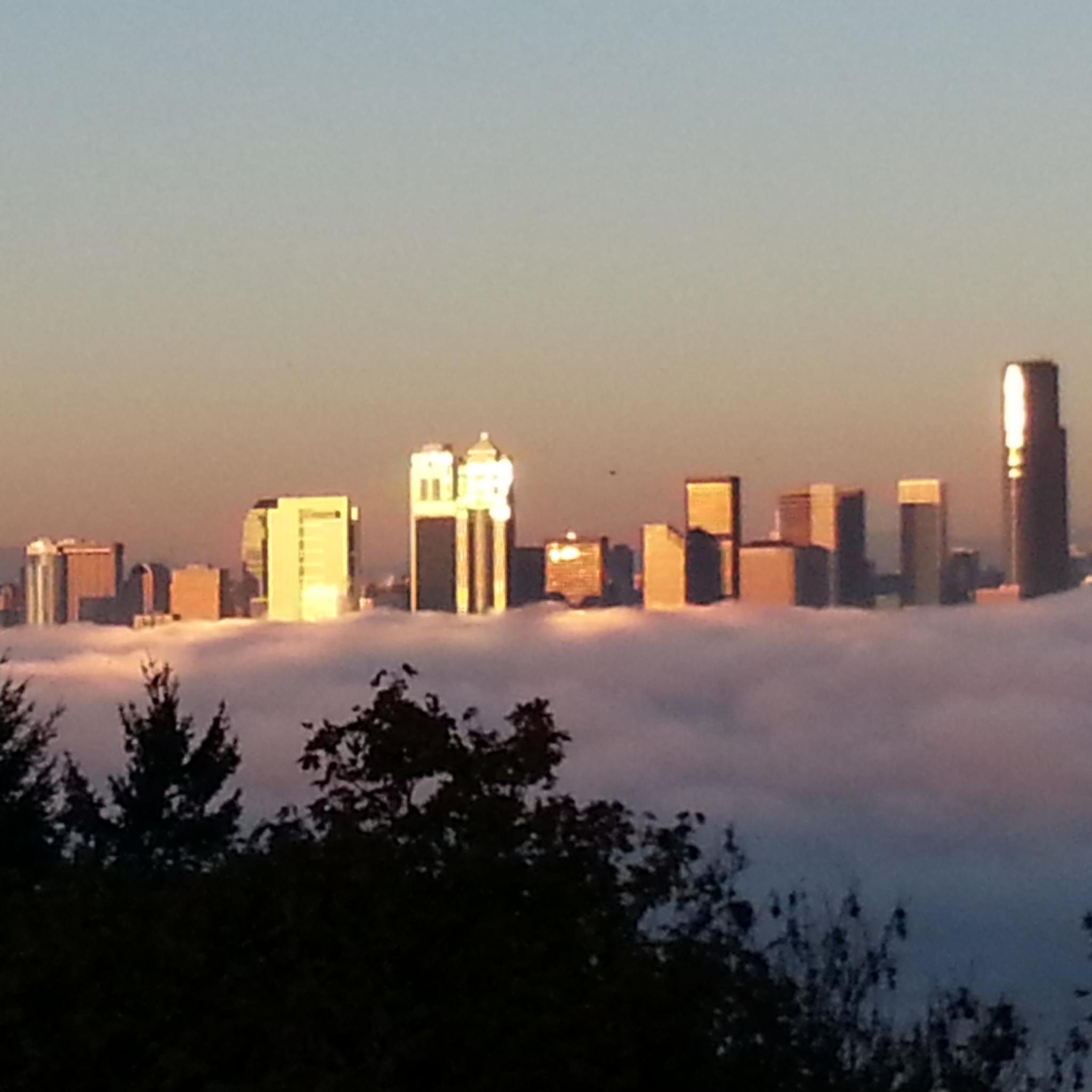 To inform and celebrate High School ATs in the Puget Sound