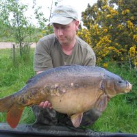 Tommo (@brownt78) 's Twitter Profile Photo