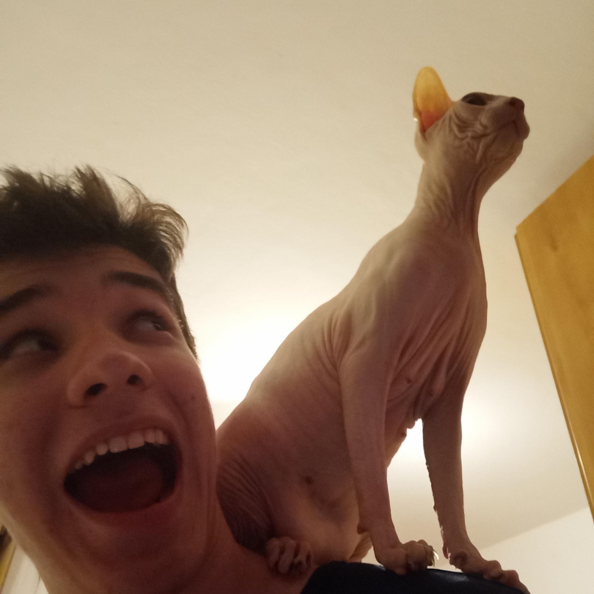 queueq_'s profile picture. Jewish socialist. Love to learn new things about foreign cultures and languages. Care deeply about the environment that we live in!
Good Loquat, Good Day!