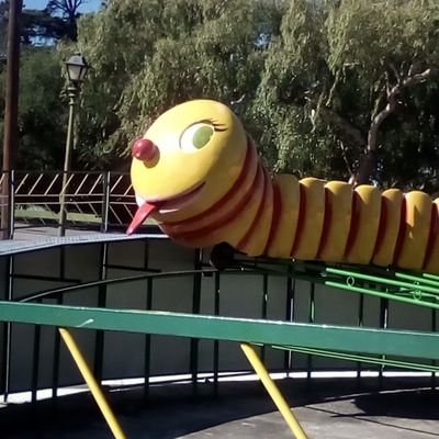 SandraB18085587's profile picture. 