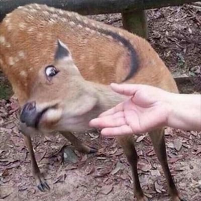 chippyextreme's profile picture. reluctant exorcist