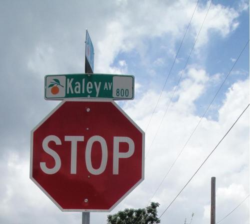 KaleyLynne's profile picture. 