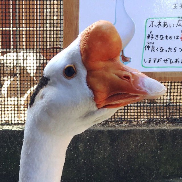 Q太郎.さんのプロフィール画像