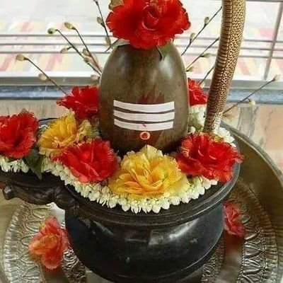 BhaiPrahald's profile picture. No one can perfect