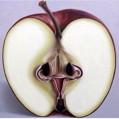 Kelvo99723466's profile picture. God-fearing Man
medical(mbchb) student
♥💉
🇰🇪