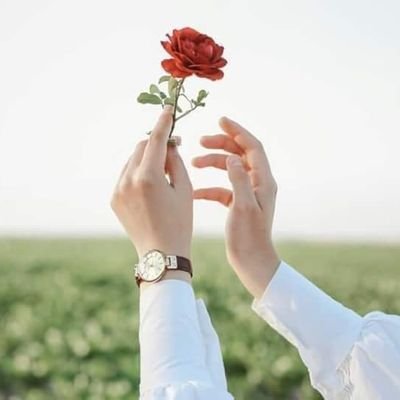 🍃Turn on my notification 🔔| 💐🍃🍀🍁🌺🌹🍃🍃🌹💐 | Love is forever | 🍃