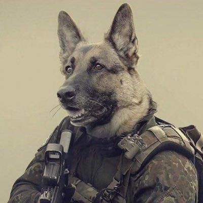 xzex21's profile picture. 