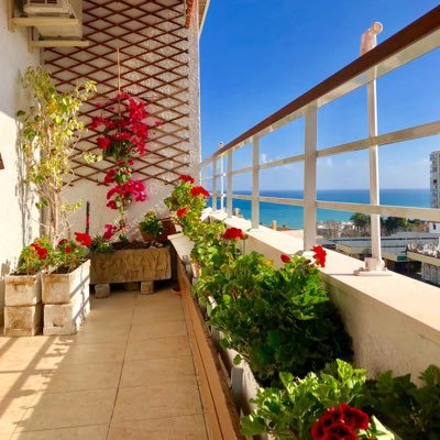 AsunVilp's profile picture. 