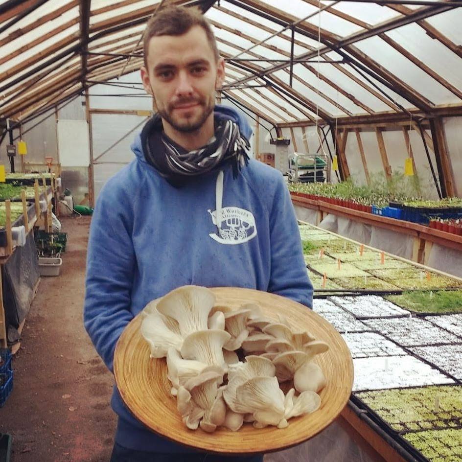 Food activist and speaker on all things food. Agroecological farming consultant. Founder of Upcycled Mushrooms and massive mushroom nerd.