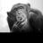 Sarat_Chimp's profile image