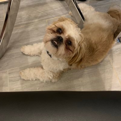 craigrainbow9's profile picture. im sexy and i know it !